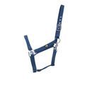 Hy Equestrian Economy Plus Headcollar Petrol additional 3