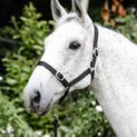 Economy Headcollar &amp; Leadrope Set additional 1
