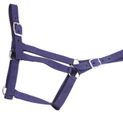 Economy Headcollar &amp; Leadrope Set additional 2