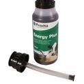 Provita Energy Plus additional 1