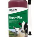 Provita Energy Plus additional 3