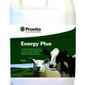 Provita Energy Plus additional 4