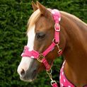 Supreme Products Dotty Fleeceheadcollar/Lead Rope Pink Paradise Pink additional 2