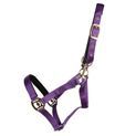Hy Equestrian Fieldsafe Headcollar Purple additional 3