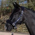 Whitaker Hc170 Leyburn Headcollar &amp; Lead Rope Navy additional 3
