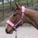 Whitaker Hc170 Leyburn Headcollar &amp; Lead Rope Pink additional 2
