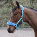 Whitaker Hc170 Leyburn Headcollar &amp; Lead Rope Turquoise additional 3