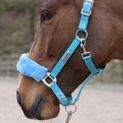 Whitaker Hc170 Leyburn Headcollar &amp; Lead Rope Turquoise additional 1