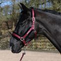 Whitaker Hc171 Holmfirth Furry Headcollar &amp; Lead Rope Burg additional 1