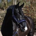 Whitaker Hc171 Holmfirth Furry Headcollar &amp; Lead Rope Navy additional 1