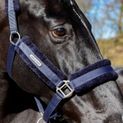 Whitaker Hc171 Holmfirth Furry Headcollar &amp; Lead Rope Navy additional 2