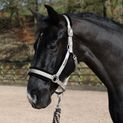 Whitaker Hc171 Holmfirth Furry Headcollar &amp; Lead Rope Taupe additional 3