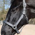 Whitaker Hc172 Pockley Padded Headcollar Grey additional 3