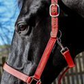 Whitaker Hc172 Pockley Padded Headcollar Red additional 3