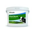 Provita Vital Boost additional 1