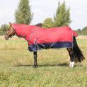 Stormx Empra 200g Turnout Rugwith Detachable Neck Burgundy additional 12
