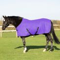 Hyconic Accent Fleece Rug Purple additional 5