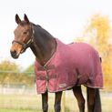 Stormx Empra 100g Combistable Rug Black additional 12