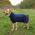 Benji &amp; Flo Classic Drying Dog Robe Navy additional 4