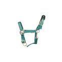 Hy Equestrian Deluxe Padded Headcollar Bottle Green Bottlegreen additional 1