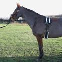 Hy Equestrian Lunge Roller Black additional 1