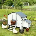 Chick’A® 4 Hen Chicken Coop “Harmony” Recycled plastic additional 6