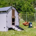 Chick’A® 4 Hen Chicken Coop “Harmony” Recycled plastic additional 7