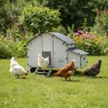 Chick’A® 4 Hen Chicken Coop “Harmony” Recycled plastic additional 10