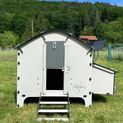 Chick’A® 6 Hen Chicken Coop “Harmony” Recycled plastic additional 2