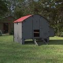 Chick’A® 8 Hen Chicken Coop “Harmony” Recycled plastic additional 2