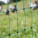 HL Poultry Net 25 m, green additional 2