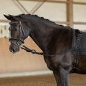 Side Reins, black (Pony) additional 2