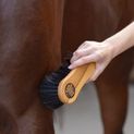 Magic Brush Cleaning Brush Coarse, Wood Arenga additional 3