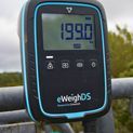 iLivestock eWeighDS Weigh Head additional 3