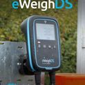 iLivestock eWeighDS Weigh Head additional 7