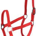 Cow Halter red additional 1