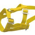 Sheep and Ram Halter, nylon additional 1