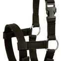 Alpaca Halter, adjustable, additional 1