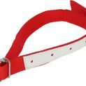 Necklace for sheep, nylon, additional 1