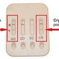 4D-Test - Calf Diarrhoea Test additional 5