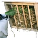 Hay Manger with wooden lid additional 4