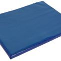 Disinfection Mat, small, additional 1