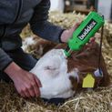 Battery-operated Horn Remover additional 2