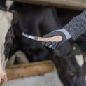 Double-edged Hoof Knife, additional 5