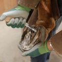 Double-edged Hoof Knife, additional 6