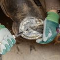 Double-edged Hoof Knife, additional 4