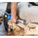 Sheep Clipper Econom additional 4