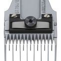 Cutter Head 16,0 mm, Favorita additional 2