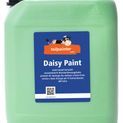 Daisy Paint additional 8