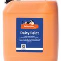 Daisy Paint additional 9